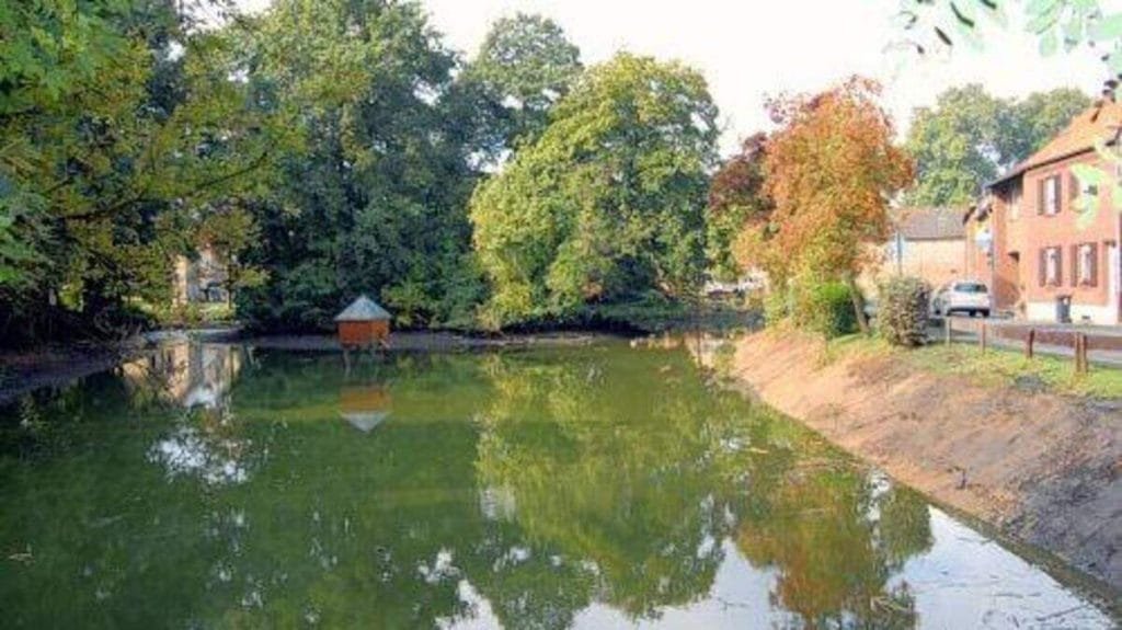 Die Böschungen sind freigekratzt, Schlamm und Müll aus der Maar gebaggert. Der Säuberungsaktion in Hottorf hat einen stolzen Preis. Foto: hfs, Aachener Nachrichten